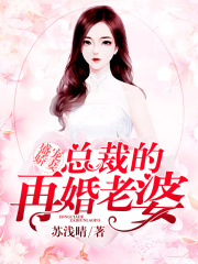盛寵嬌妻：總裁的再婚老婆