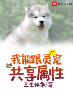 我能跟靈寵共享屬性