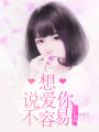 想說愛你不容易