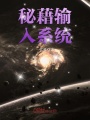 秘藉輸入系統