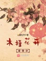 木槿花開(kāi)夏微涼