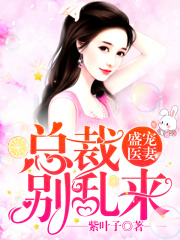 盛寵醫妻：總裁別亂來