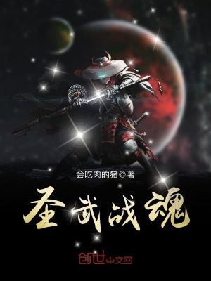 圣武戰魂