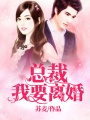 總裁，我要離婚！
