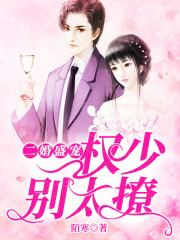 二婚盛寵：權少別太撩