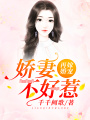 再嫁婚寵：嬌妻不好惹