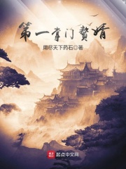 第一掌門贅婿