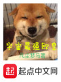 宇宙最強歐皇