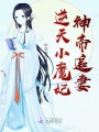 逆天小魔妃，神帝追妻