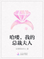 哈嘍，我的總裁夫人