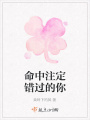 命中注定錯過的你