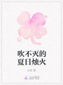 吹不滅的夏日燭火