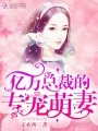 億萬(wàn)總裁的專(zhuān)寵萌妻