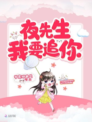 夜先生我要追你