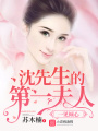 一見傾心：沈先生的第一夫人