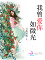我曾愛你如微光