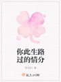 你此生路過的情分