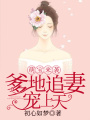 萌寶來襲：爹地追妻寵上天