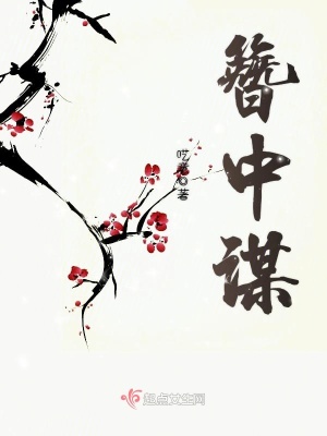 簪中謀