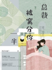 總裁，被窩分你一半