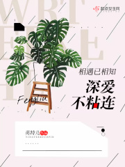 相遇已深愛
