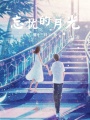 忘憂的月光