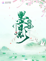 墨影滿琳瑯