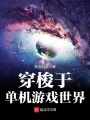穿梭于單機(jī)游戲世界
