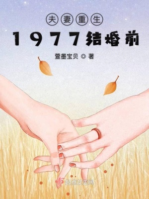 夫妻重生1977結婚前