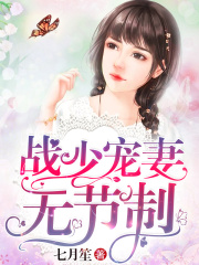戰少寵妻無節制