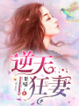 逆天狂妻