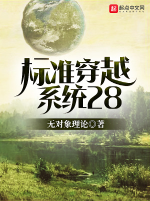 標準穿越系統28