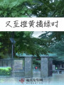 又至橙黃橘綠時