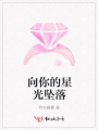 向你的星光坠落