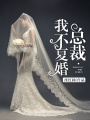 總裁，我不復婚