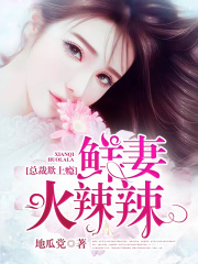 總裁欺上癮：鮮妻火辣辣