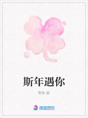 斯年遇你
