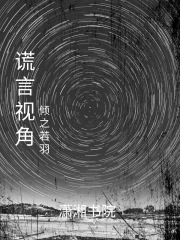 謊言視角