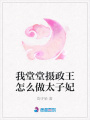 我堂堂攝政王怎么做太子妃