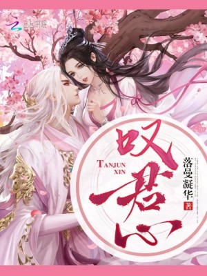 嘆君心
