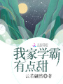 我家學(xué)霸有點(diǎn)甜