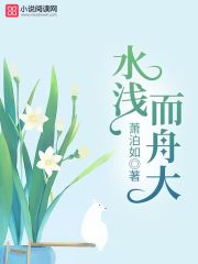 水淺而舟大