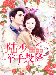 婚后無償，陸少舉手投降