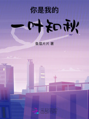 你是我的一葉知秋