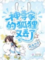神尊家的狐狸又丢了