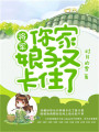將軍，你家娘子又卡住了