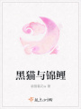 黑貓與錦鯉