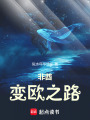 非酋變歐之路