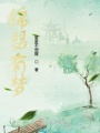錦瑟有夢