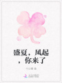 盛夏,，風(fēng)起,，你來了